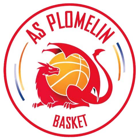 logo ASP basket