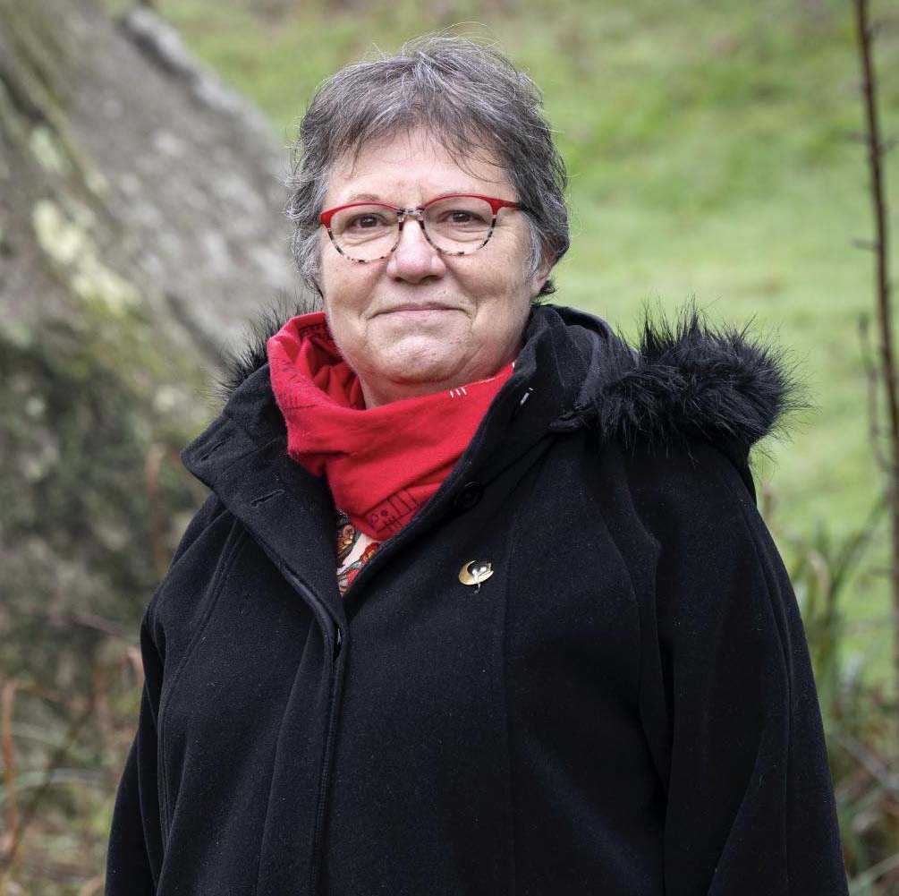 dominique plouzennec